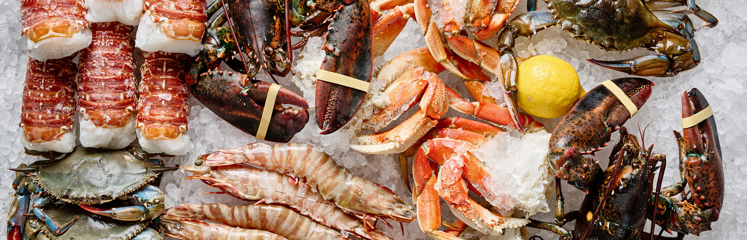 Shoreline Fresh Seafood Market - Photo of fresh, reliably sourced Shellfish Case